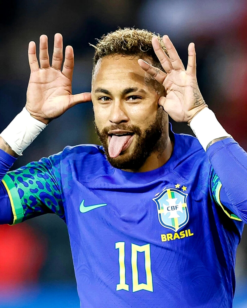 子高尔夫大 子高尔夫大